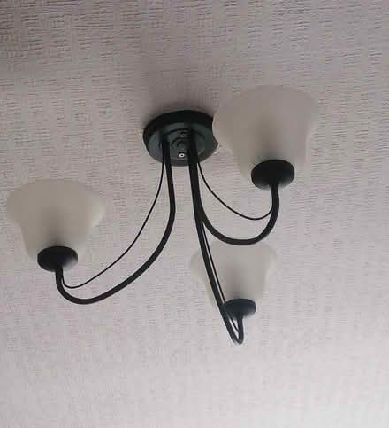 Photo of free Black ceiling light (Easthampstead RG12) #1