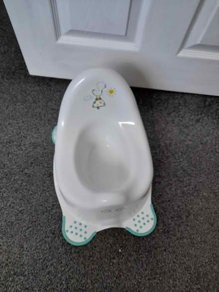 Photo of free Toddler potty (Tiptree CO5) #1