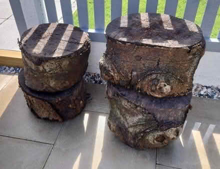 Photo of free Tree trunks (Carlton NG4) #1