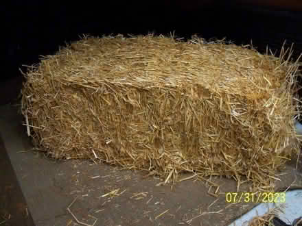 Photo of free straw bale (Adamsdown CF24) #1
