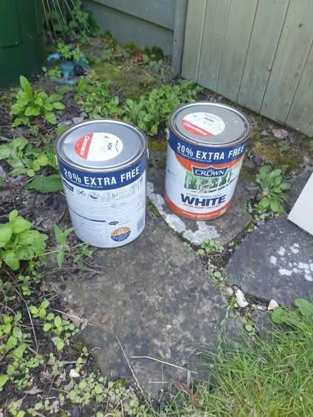 Photo of free Crown white non drip gloss paint 3L x2 (Wargrave RG10) #1