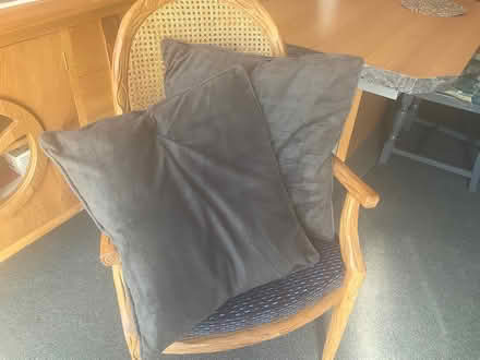 Photo of free 2 grey velour cushions 18”x18” (Bohemia TN37) #1