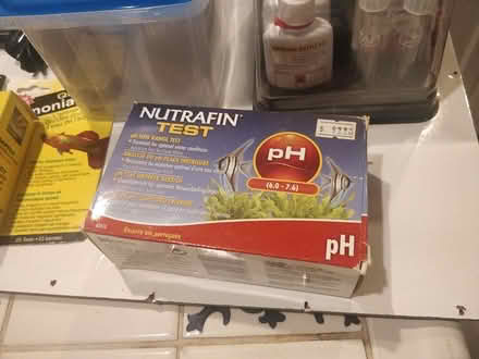 Photo of free Big Box of Aquarium Accoutrements (El Sobrante) #2
