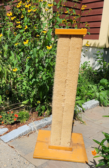 Photo of free cat scratching post (used) (Cambridge, near Western Ave) #1
