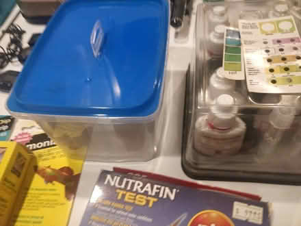 Photo of free Big Box of Aquarium Accoutrements (El Sobrante) #4