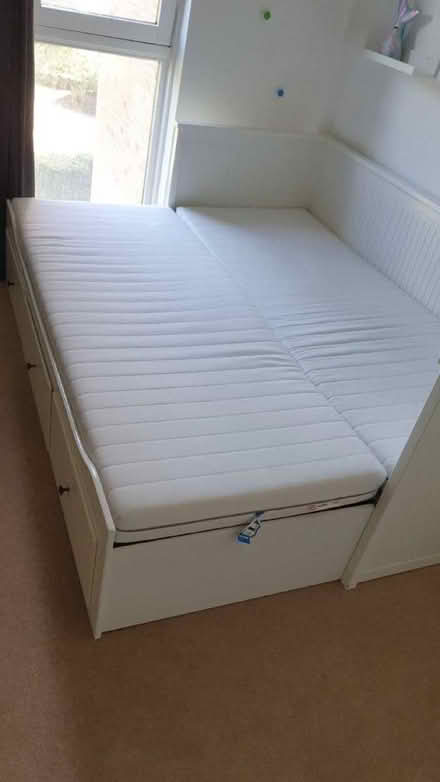 Photo of free Trundle bed (South Tonbridge TN9) #1