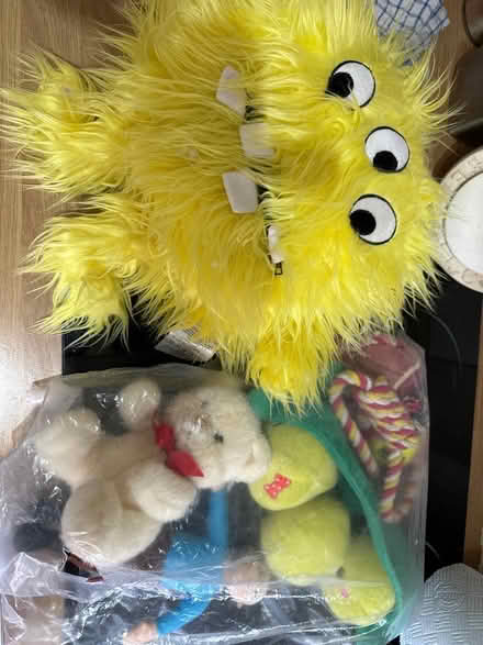 Photo of free Dog toys (LU2 Round Green) #1