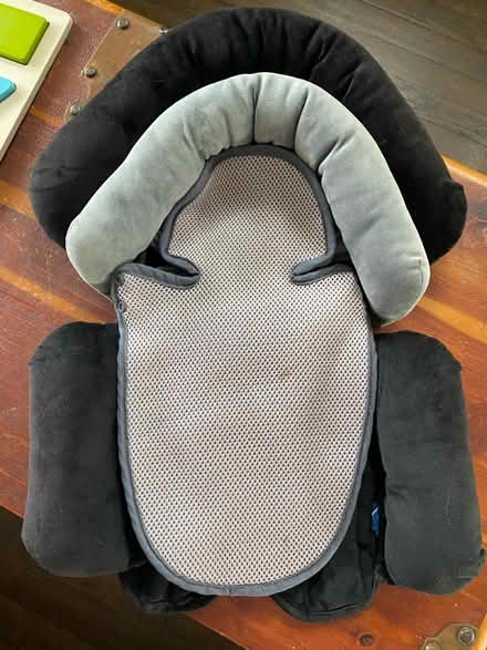 Photo of free Newborn car seat/stroller insert (Kingman Park) #1