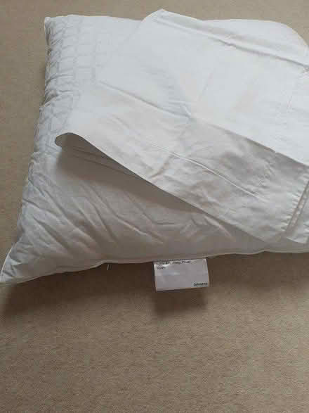 Photo of free Bedding (Bear flat, Bath) #1