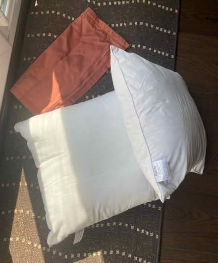 Photo of free Pair of new cushion pads (Enfield Ridgeway EN2) #1