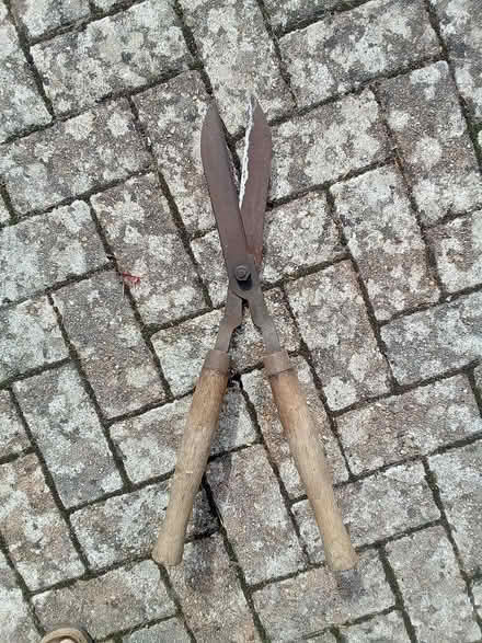 Photo of free Hedge shears (Friston BN20) #1