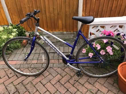 Photo of free Bike (Eltham) #1
