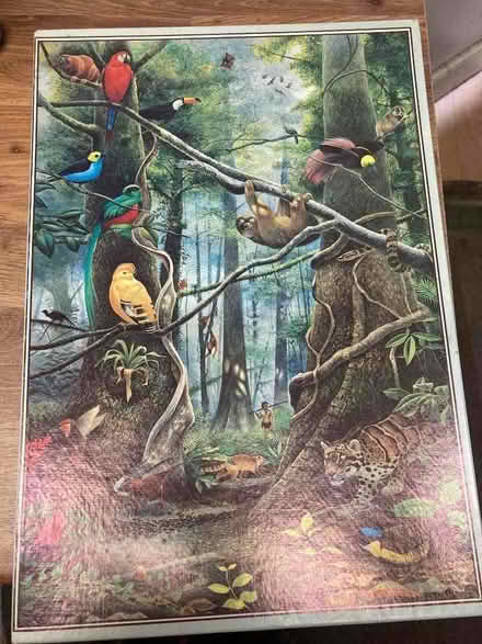 Photo of free Jigsaw Puzzles (Saltford) #1