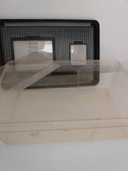Photo of free Vivarium (Rode Manor BA11) #2