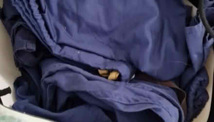 Photo of free Scrubs (Dun Laoghaire) #1