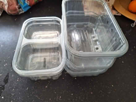 Photo of free 8 plastic punnets from fruit (Worcester, WR5) #1