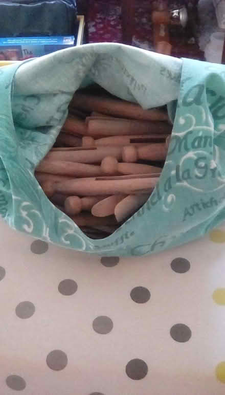 Photo of free Clothes pegs and bag (Halliwell BL1) #1