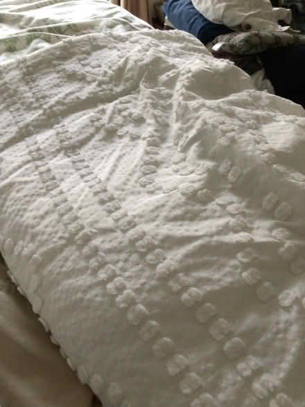 Photo of free Twin XL comforter and sheet set (Sunnyvale by lawrence expwy) #1