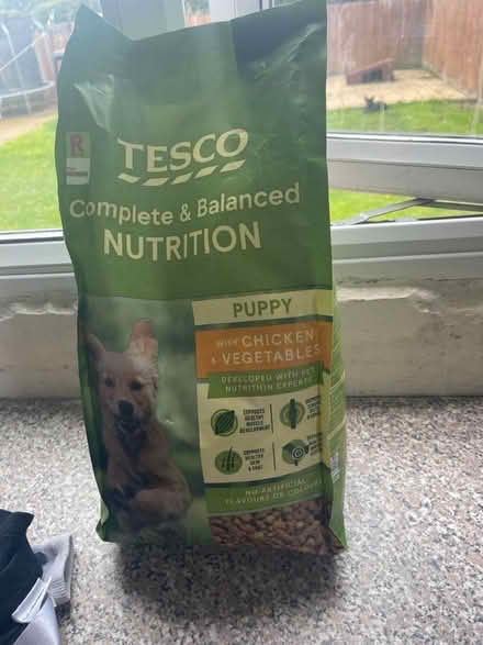 Photo of free Puppy food (West Winch PE33) #1
