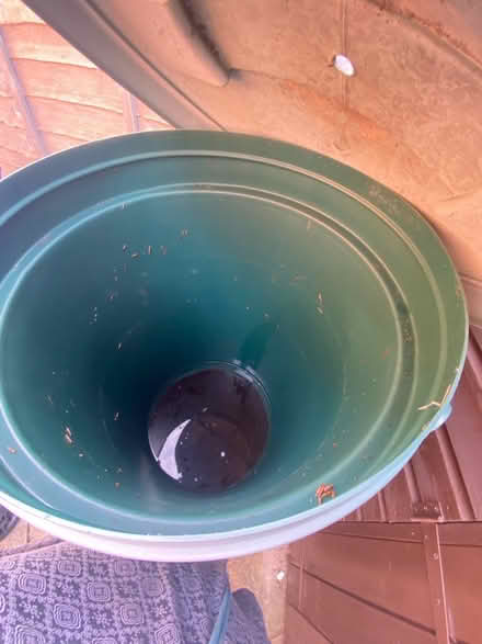 Photo of free Rainwater Butt (Towcester NN12) #3