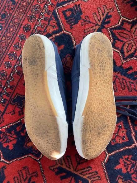 Photo of free Canvas Fatface shoes (Craigmillar Park EH16) #2