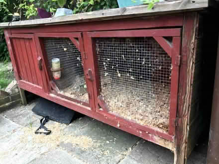 Photo of free Rabbit/guinea pig hutch (Ringles Cross TN22) #1