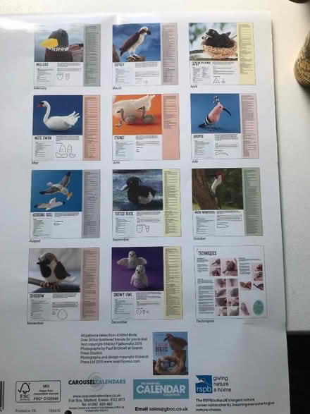 Photo of free Knitting patterns for birds (Dersingham PE31) #1