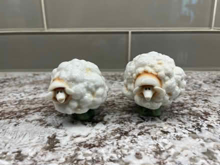 Photo of free Salt and pepper shaker (Southwest Oakville) #1
