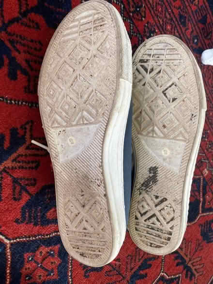 Photo of free Canvas shoes (Craigmillar Park EH16) #2