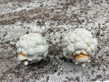 Photo of free Salt and pepper shaker (Southwest Oakville) #2