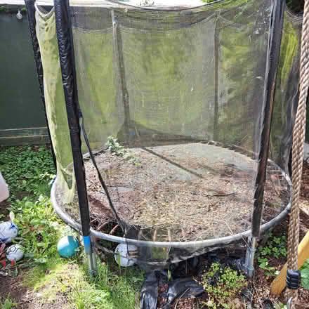 Photo of free Trampoline (WS4) #1