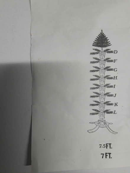 Photo of free Christmas tree (Old Town East Fort Collins) #2
