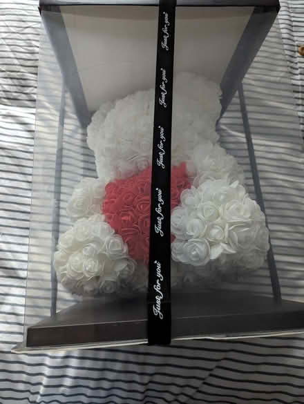 Photo of free Rose Bear (Culcheth WA3) #1
