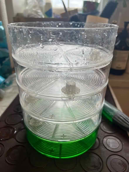 Photo of free Salad seed germination tray (Netherfield, Battle) #1