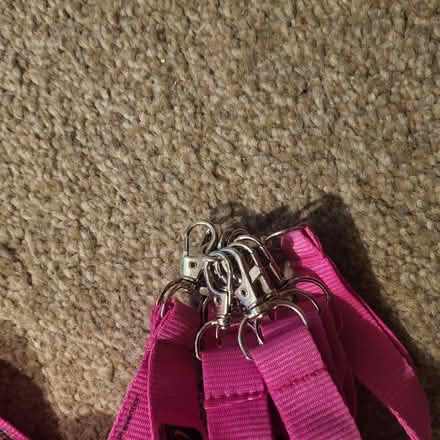 Photo of free Lanyards x10 (Great Lever BL3) #2