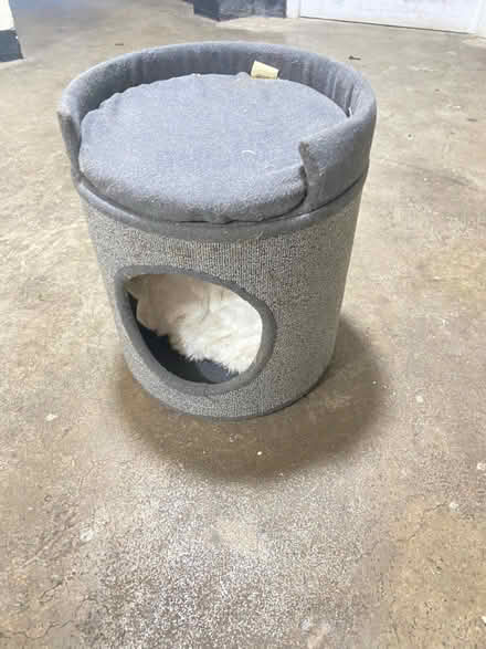 Photo of free Cat bed toy thingy (Chesham HP5 3) #2