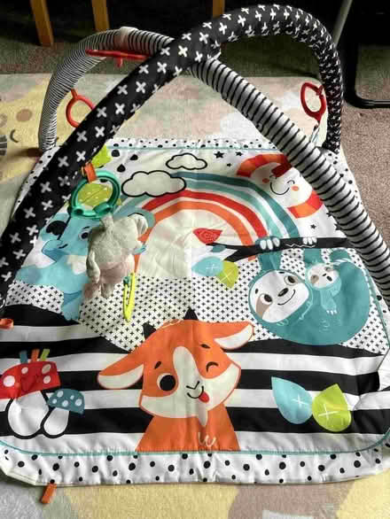Photo of free Baby play mat and gym (Lower Bevendean BN2) #1