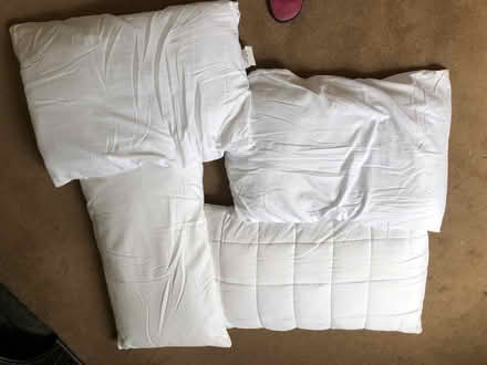 Photo of free Pillows (Quarndon DE22) #1