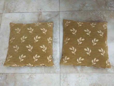 Photo of free 2 cushions 42cm by 42 cm (New Malden KT3) #1