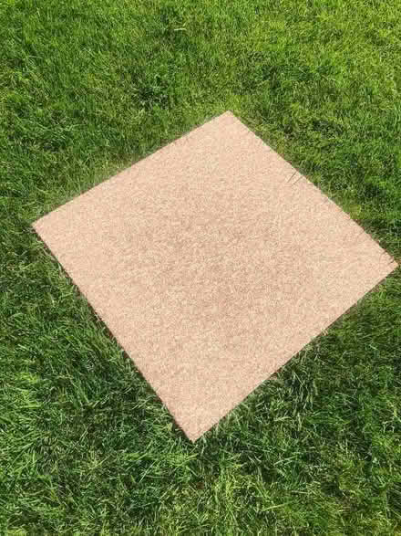 Photo of free Carpet tiles (Tickenham BS21) #1