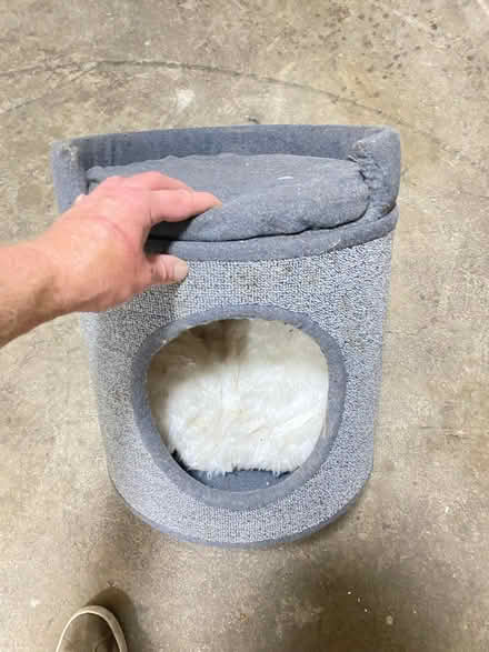 Photo of free Cat bed toy thingy (Chesham HP5 3) #1