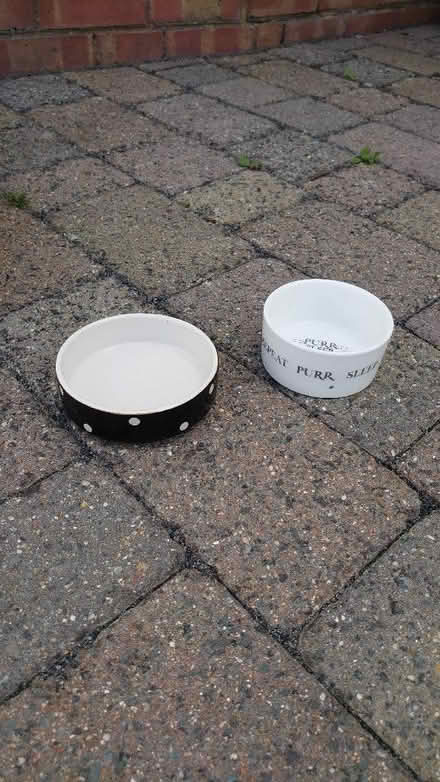 Photo of free Cat stuff (Tonbridge) #2