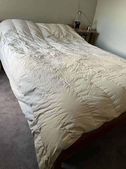 Photo of free King size feather and down quilt (Hanwell) #2