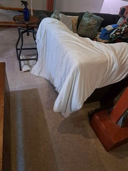 Photo of free Weighted blanket with cover (wallingford) #1