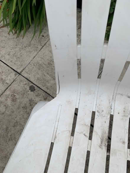Photo of free White garden chairs (Stockbrook, Derby DE22) #2