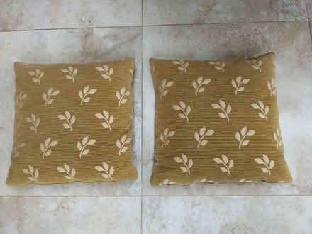 Photo of free 2 cushions 42cm by 42 cm (New Malden KT3) #2