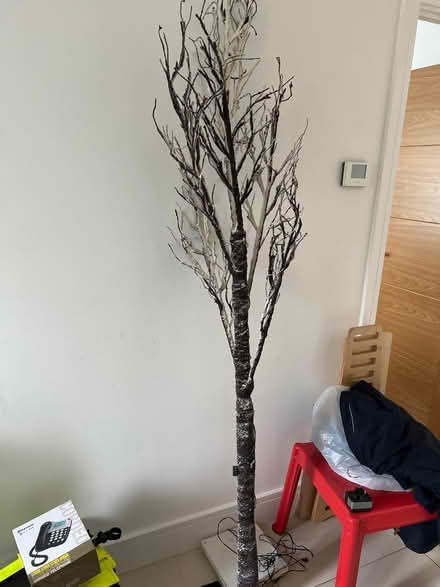 Photo of free Snowy twig tree (Baldock) #1