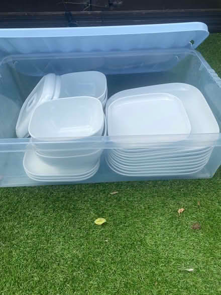 Photo of free Plates and bowls (Warlingham) #1