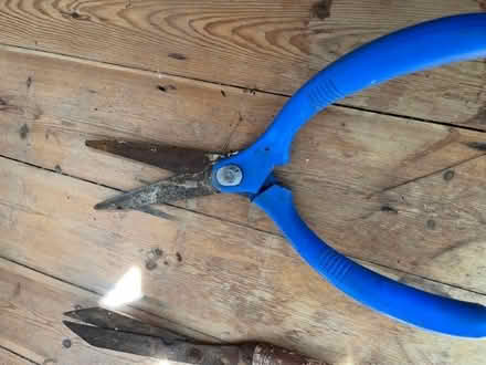 Photo of free Garden shears - need some tlc (Shoreham-by-Sea BN43) #3
