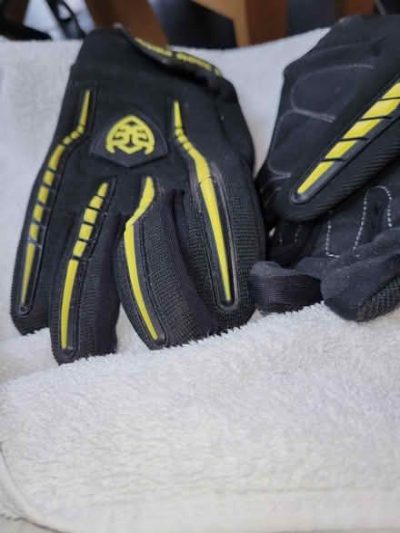 Photo of free Adult gloves rex leather (IP3) #1